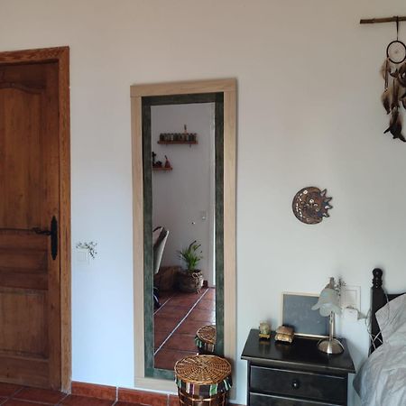 Habitacion Privada En Casa Particular, Montana Olesa de Bonesvalls Dış mekan fotoğraf